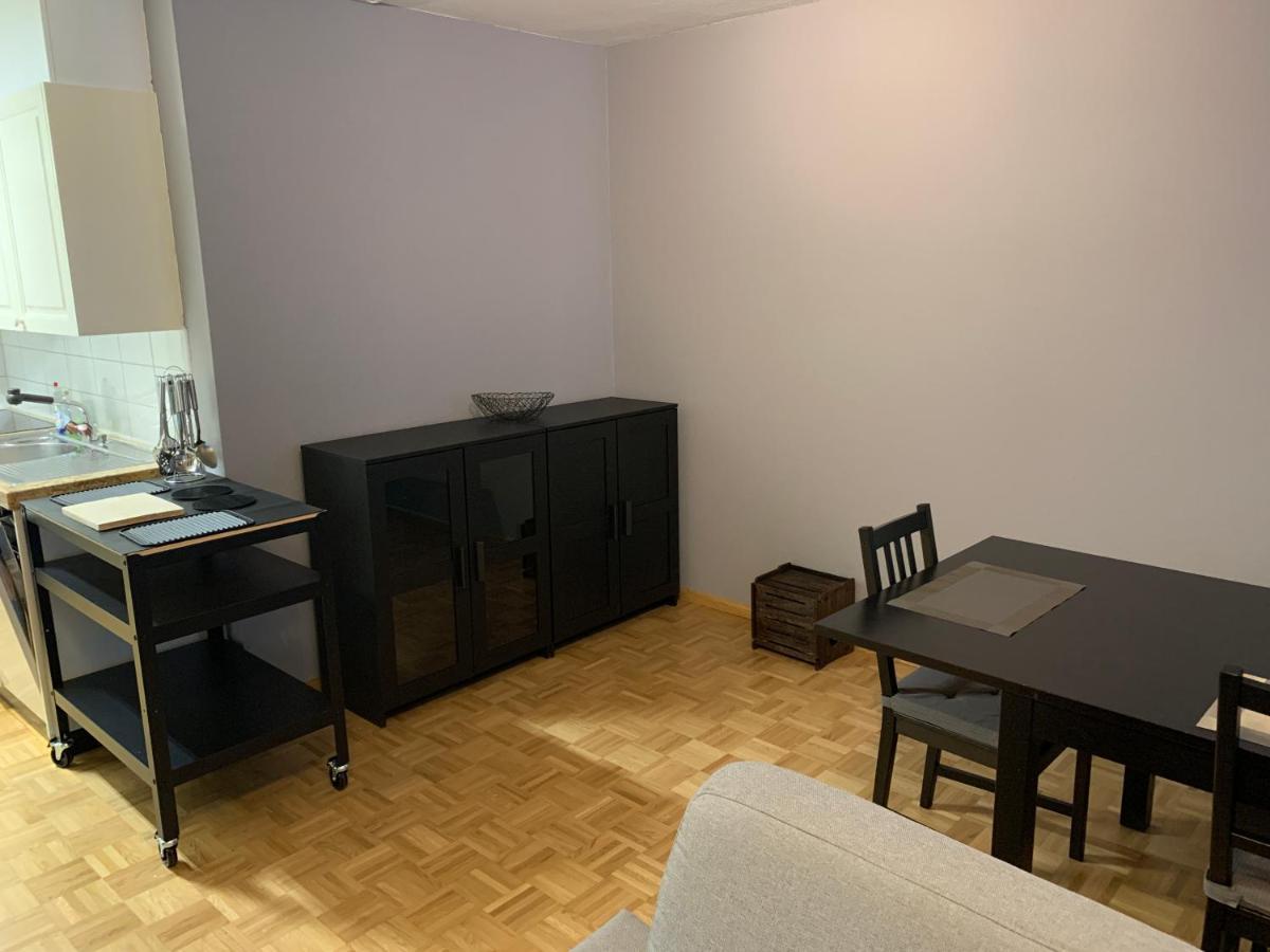 Xl City Center Apartment-Contactless Check-In Базел Екстериор снимка